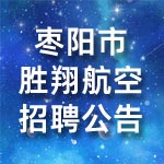 棗陽(yáng)勝翔航空