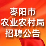 公開(kāi)招聘政府購(gòu)買(mǎi)服務(wù)工作人員
